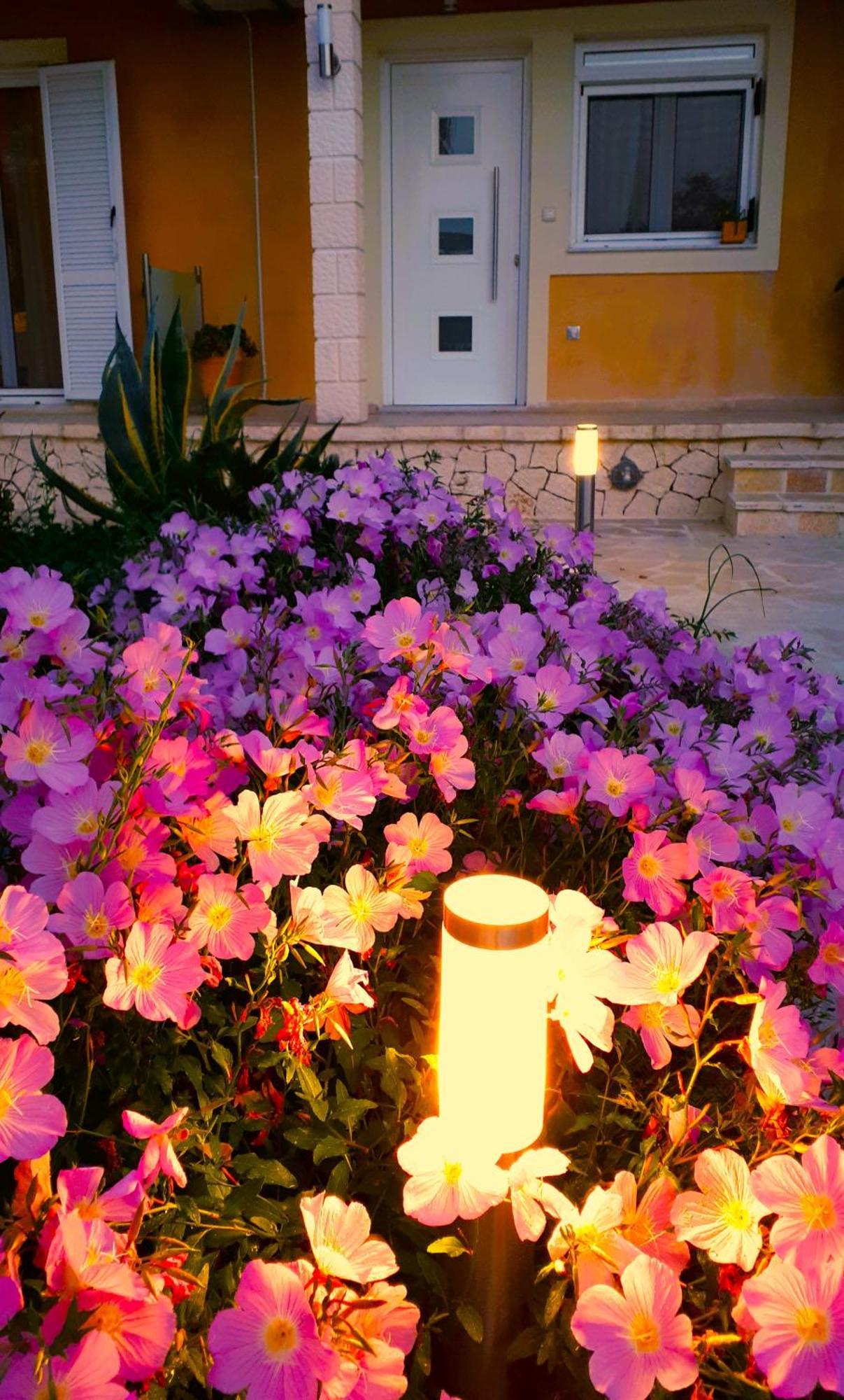 Iris Near Corfu Town Apartment *